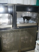 Veterinary clinic Červený vrch - hospitalization