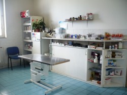 Veterinary clinic Červený vrch - surgery